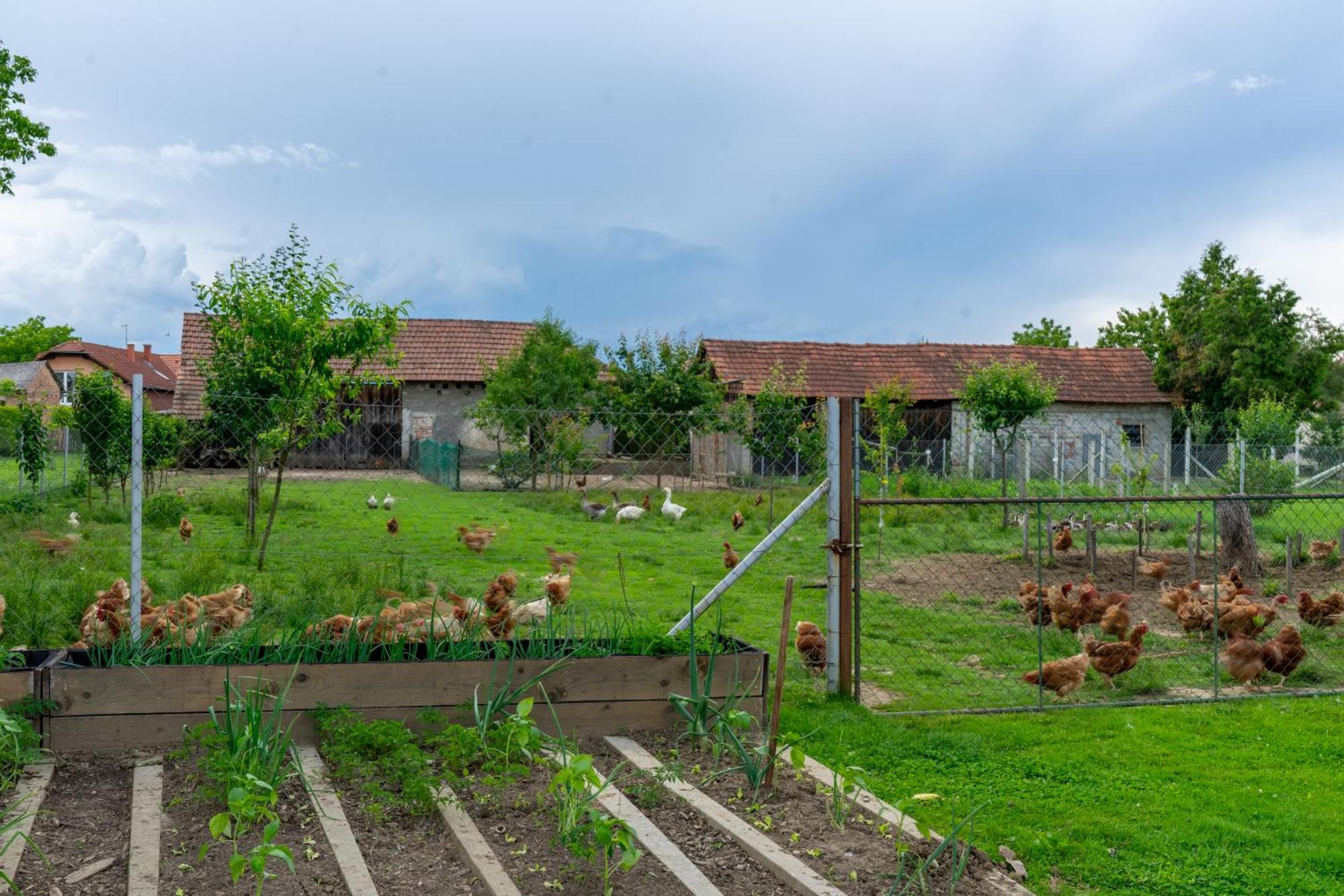 Kuca Za Odmor Marof Ferienhaus
